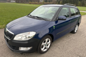 lieferwagen_und_transporter_-_skoda_fabia_1_2_tdi_greenline_-_skoda_283655.jpg