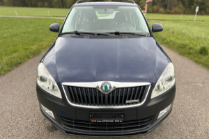 lieferwagen_und_transporter_-_skoda_fabia_1_2_tdi_greenline_-_skoda_283656.jpg