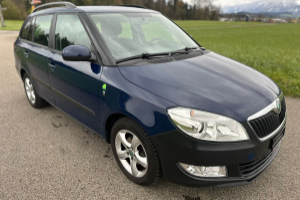 lieferwagen_und_transporter_-_skoda_fabia_1_2_tdi_greenline_-_skoda_283657.jpg