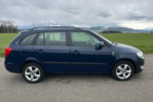 lieferwagen_und_transporter_-_skoda_fabia_1_2_tdi_greenline_-_skoda_285503.jpg