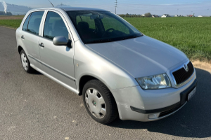 lieferwagen_und_transporter_-_skoda_fabia_1_4_16v_comfort_-_skoda_308006.jpg