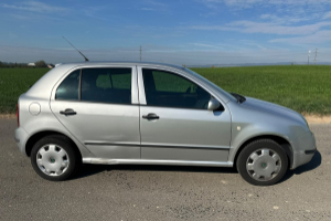 lieferwagen_und_transporter_-_skoda_fabia_1_4_16v_comfort_-_skoda_308007.jpg