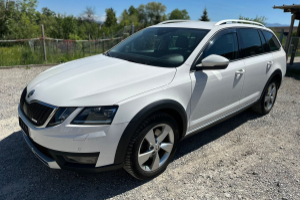 lieferwagen_und_transporter_-_skoda_octavia_combi_2_0_tsi_scout_4x4_dsg_-_skoda_292813.jpg
