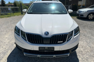 lieferwagen_und_transporter_-_skoda_octavia_combi_2_0_tsi_scout_4x4_dsg_-_skoda_292814.jpg
