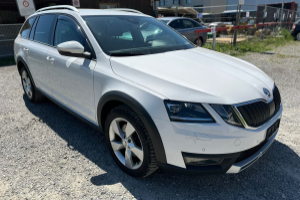lieferwagen_und_transporter_-_skoda_octavia_combi_2_0_tsi_scout_4x4_dsg_-_skoda_292815.jpg