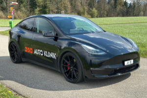 lieferwagen_und_transporter_-_tesla_performance_-_others_283651.jpg