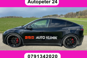 lieferwagen_und_transporter_-_tesla_performance_-_others_300194.jpg