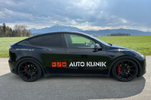 lieferwagen_und_transporter_-_tesla_performance_-_others_300199.jpg