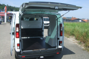 lieferwagen_und_transporter_-_trafic_dci110__l1_h1__euro_6d_-_renault_153662.jpg