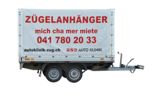lieferwagen_und_transporter_-_umzugs-anhaenger_geschlossen_-_others_300642.jpg