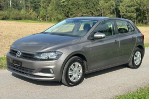lieferwagen_und_transporter_-_vw_polo_1_0_bmt_trendline_-_vw_308046.jpg