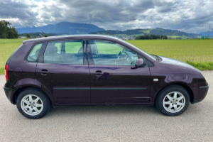 lieferwagen_und_transporter_-_vw_polo_1_2_12v_highline_-_vw_255425.jpg