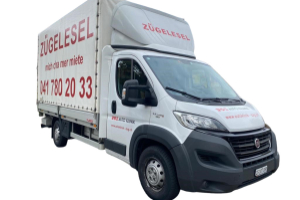 lieferwagen_und_transporter_-_zuegelesel_mit_hebebuehne_-_others_255101.jpg