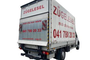 lieferwagen_und_transporter_-_zuegelesel_mit_hebebuehne_-_others_255106.jpg