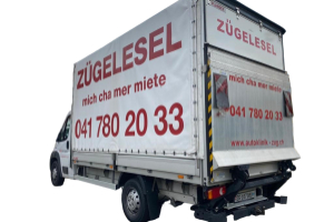 lieferwagen_und_transporter_-_zuegelesel_mit_hebebuehne_-_others_286041.jpg