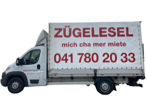 lieferwagen_und_transporter_-_zuegelesel_mit_hebebuehne_-_others_286042.jpg