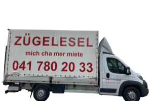 lieferwagen_und_transporter_-_zuegelesel_mit_hebebuehne_-_others_286043.jpg