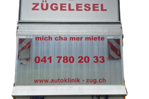 lieferwagen_und_transporter_-_zuegelesel_mit_hebebuehne_-_others_300637.jpg