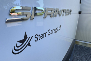 sprinter-319-cdi-4x4-pro-kasten-hd-3665-s-worker-panel-van-mercedes_304939.jpg